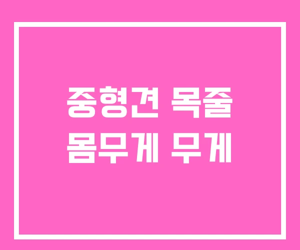 중형견 목줄 몸무게 무게