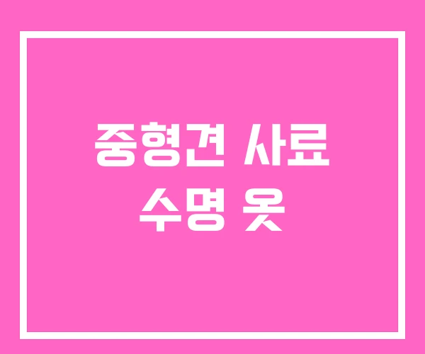 중형견 사료 수명 옷