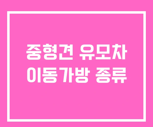 중형견 유모차 이동가방 종류 중형견 유모차 이동가방 종류
