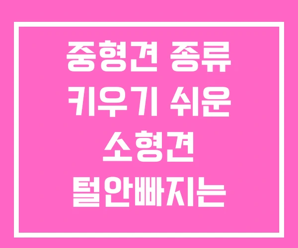 중형견 종류 키우기 쉬운 소형견 털안빠지는