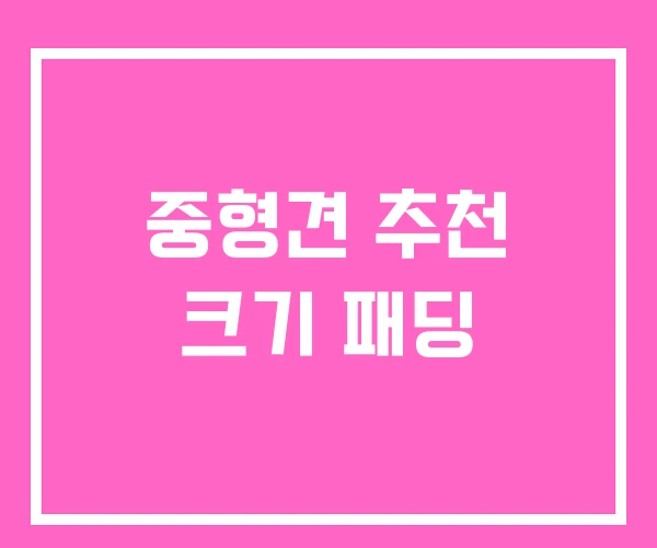 중형견 추천 크기 패딩 중형견 추천 크기 패딩