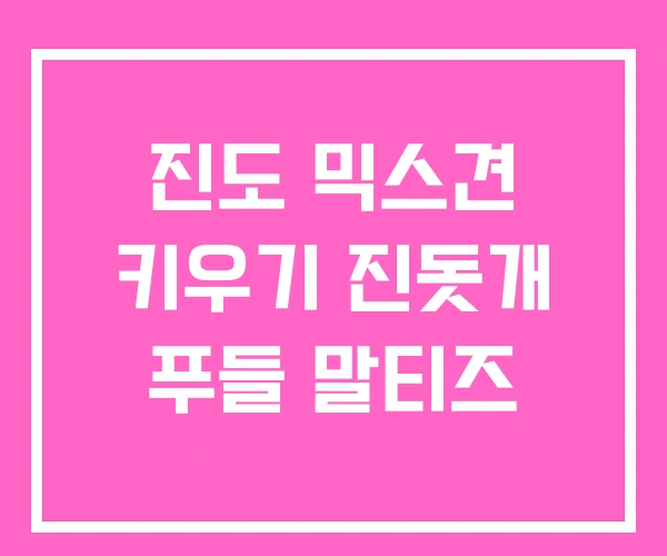 진도 믹스견 키우기 진돗개 푸들 말티즈