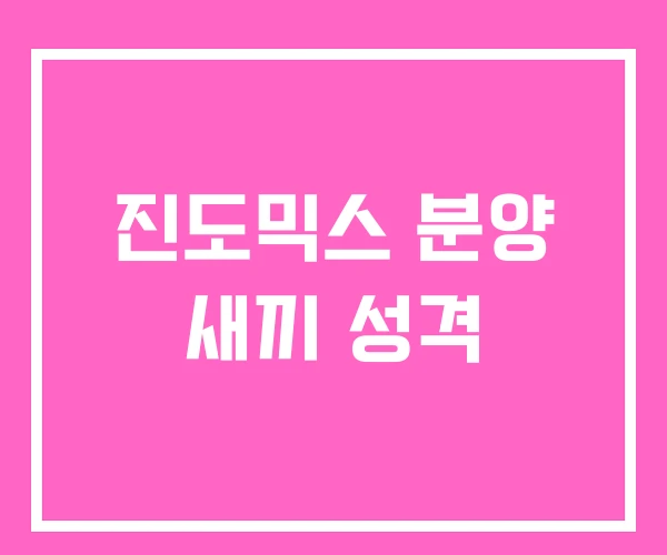 진도믹스 분양 새끼 성격