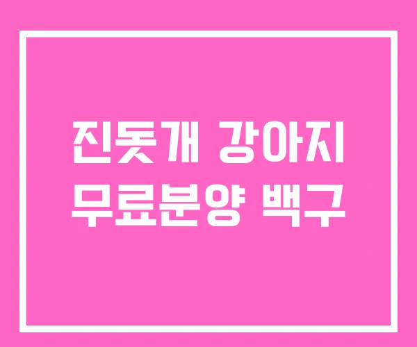 진돗개 강아지 무료분양 백구