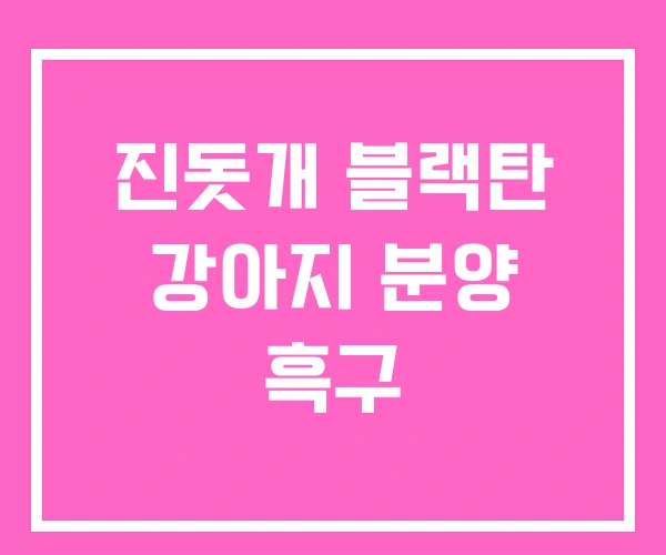 진돗개 블랙탄 강아지 분양 흑구