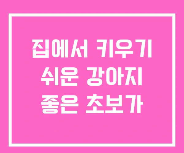 집에서 키우기 쉬운 강아지 좋은 초보가