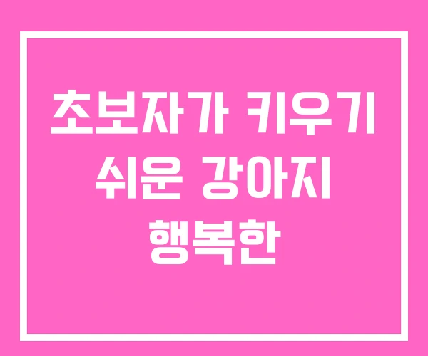 초보자가 키우기 쉬운 강아지 행복한 초보자가 키우기 쉬운 강아지 행복한