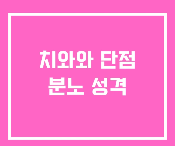 치와와 단점 분노 성격