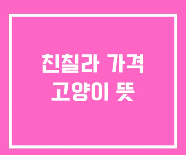 친칠라 가격 고양이 뜻 친칠라 가격 고양이 뜻