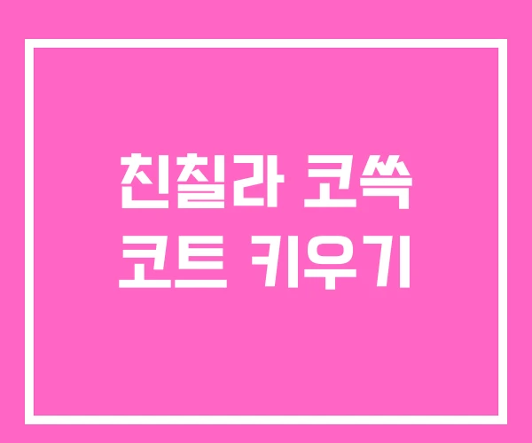 친칠라 코쓱 코트 키우기