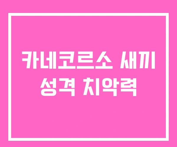 카네코르소 새끼 성격 치악력