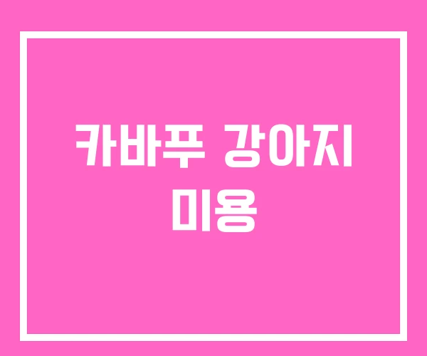 카바푸 강아지 미용