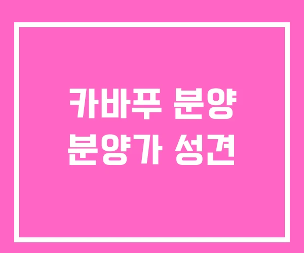 카바푸 분양 분양가 성견