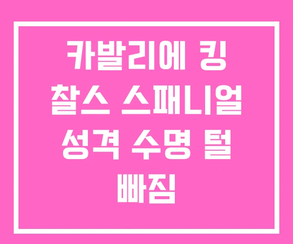 카발리에 킹 찰스 스패니얼 성격 수명 털 빠짐