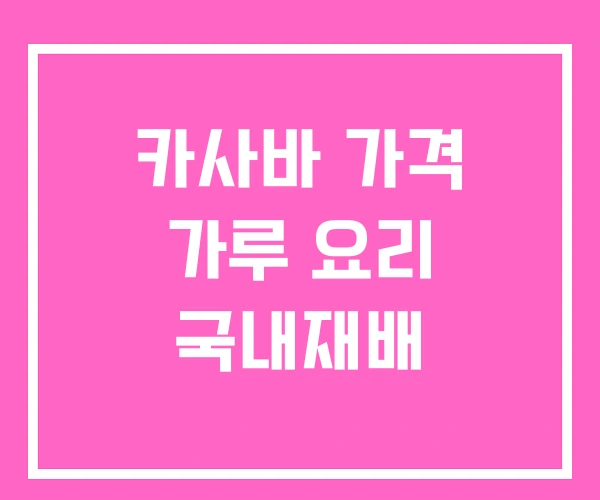 카사바 가격 가루 요리 국내재배