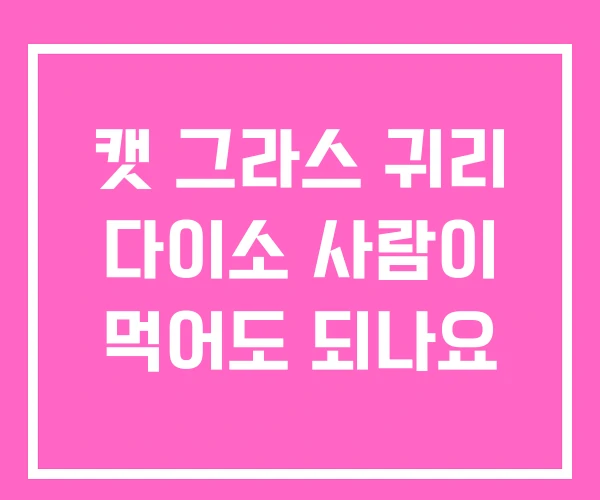 캣 그라스 귀리 다이소 사람이 먹어도 되나요