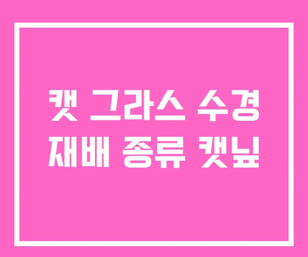 캣 그라스 수경 재배 종류 캣닢 캣 그라스 수경 재배 종류 캣닢