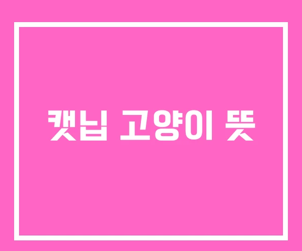 캣닙 고양이 뜻 캣닙 고양이 뜻