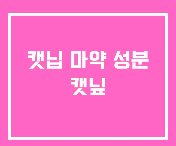 캣닙 마약 성분 캣닢