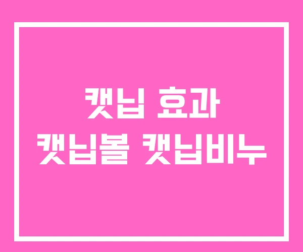 캣닙 효과 캣닙볼 캣닙비누