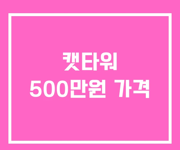 캣타워 500만원 가격