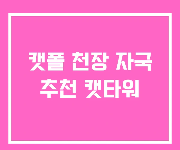 캣폴 천장 자국 추천 캣타워 캣폴 천장 자국 추천 캣타워