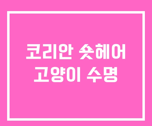 코리안 숏헤어 고양이 수명