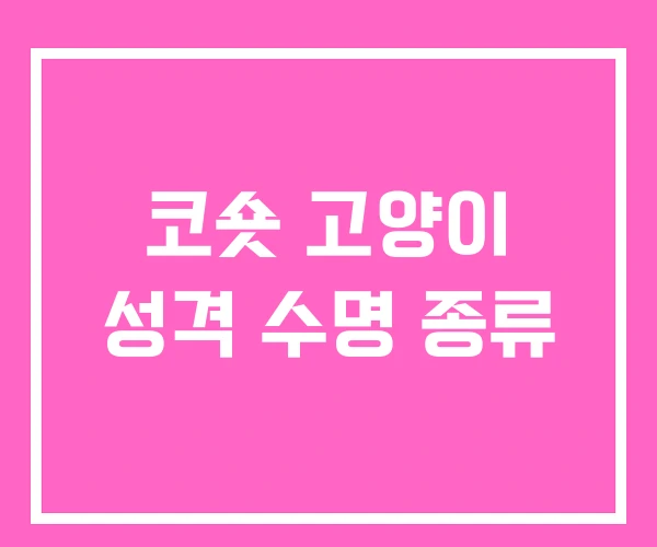 코숏 고양이 성격 수명 종류