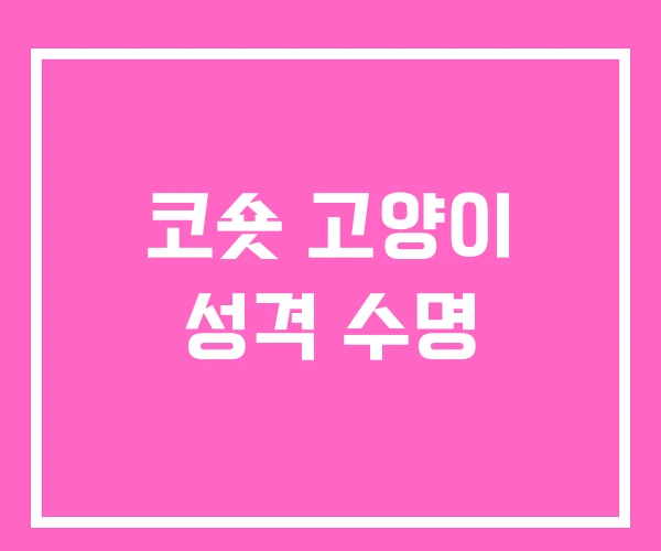 코숏 고양이 성격 수명 코숏 고양이 성격 수명