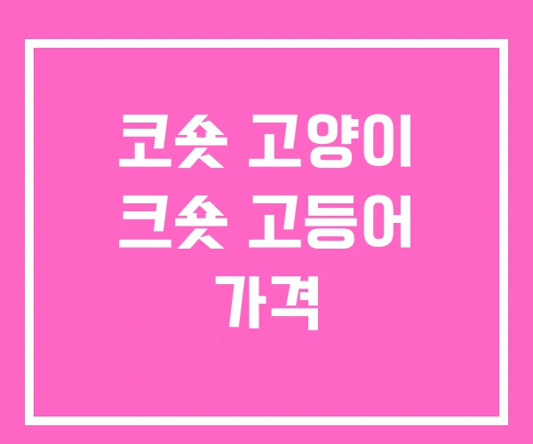 코숏 고양이 크숏 고등어 가격