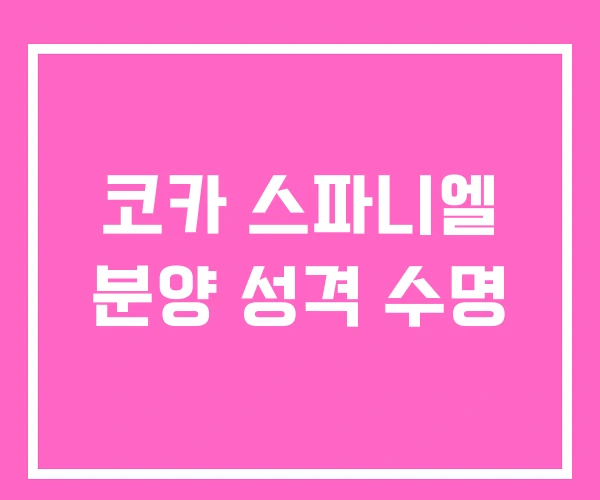 코카 스파니엘 분양 성격 수명 코카 스파니엘 분양 성격 수명