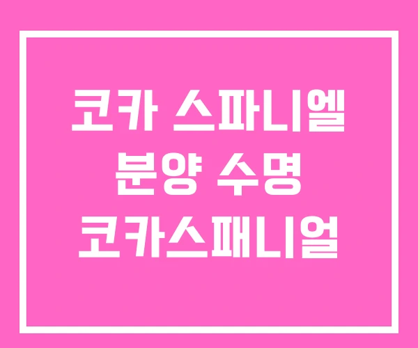코카 스파니엘 분양 수명 코카스패니얼