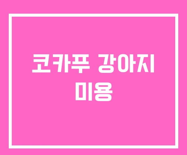 코카푸 강아지 미용 코카푸 강아지 미용