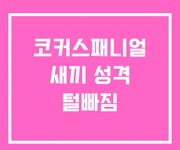 코커스패니얼 새끼 성격 털빠짐 코커스패니얼 새끼 성격 털빠짐