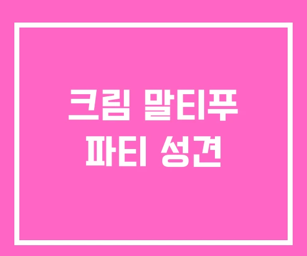 크림 말티푸 파티 성견