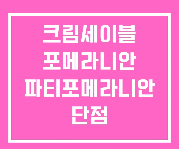 크림세이블 포메라니안 파티포메라니안 단점 크림세이블 포메라니안 파티포메라니안 단점