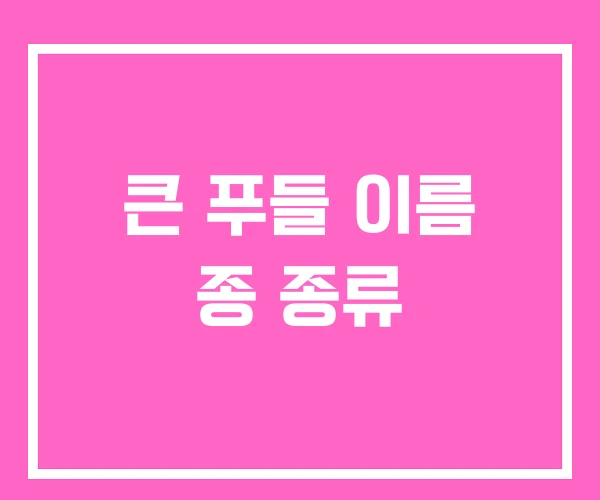 큰 푸들 이름 종 종류 큰 푸들 이름 종 종류
