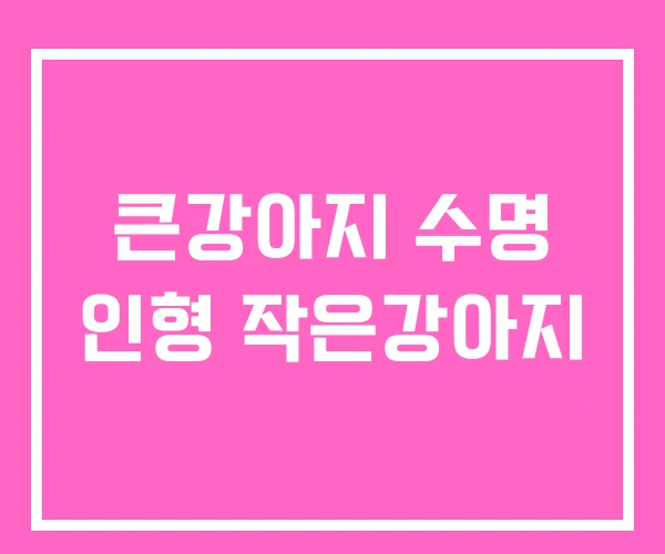 큰강아지 수명 인형 작은강아지 큰강아지 수명 인형 작은강아지