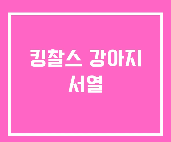 킹찰스 강아지 서열 킹찰스 강아지 서열