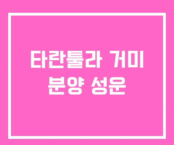 타란툴라 거미 분양 성운 타란툴라 거미 분양 성운