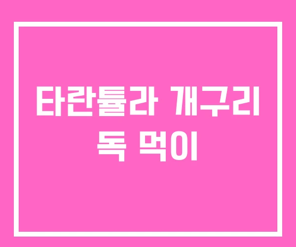 타란튤라 개구리 독 먹이