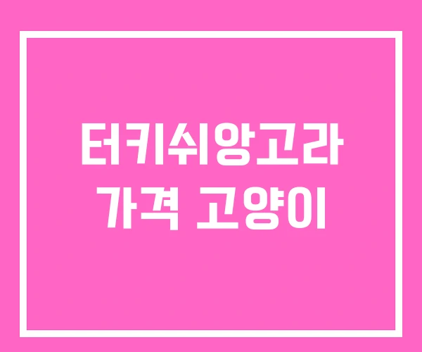 터키쉬앙고라 가격 고양이