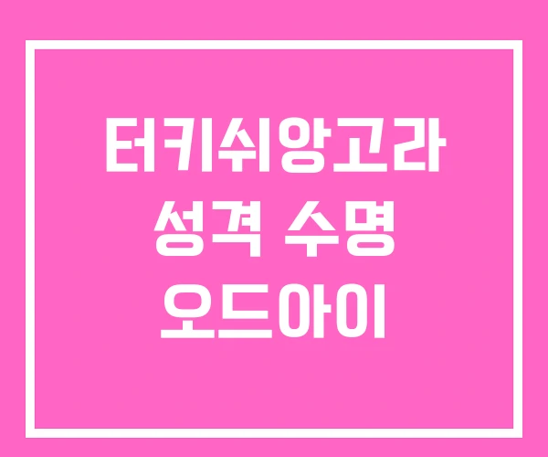 터키쉬앙고라 성격 수명 오드아이