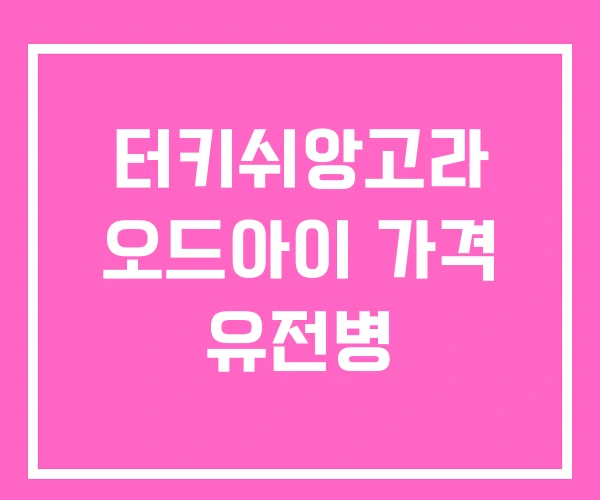 터키쉬앙고라 오드아이 가격 유전병