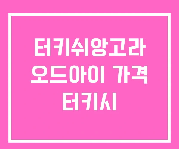 터키쉬앙고라 오드아이 가격 터키시