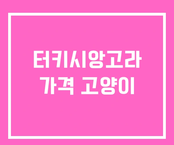 터키시앙고라 가격 고양이 터키시앙고라 가격 고양이