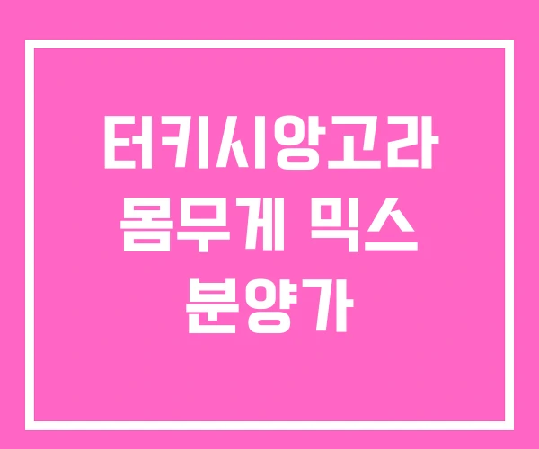 터키시앙고라 몸무게 믹스 분양가