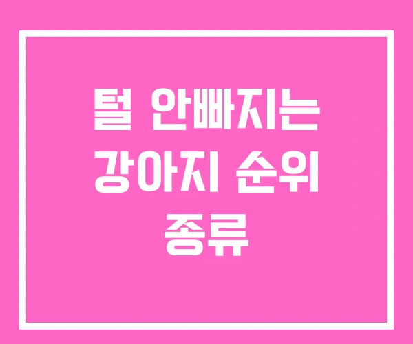 털 안빠지는 강아지 순위 종류