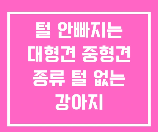 털 안빠지는 대형견 중형견 종류 털 없는 강아지