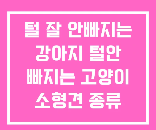 털 잘 안빠지는 강아지 털안 빠지는 고양이 소형견 종류